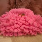 Eunoia Rose Blaze- Puffy Bag